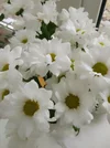 IMG_20251015_075000_858.webp