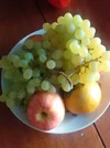 IMG_20251018_111357.webp