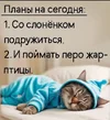 IMG-20251023-WA0032.webp