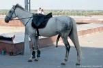 340283_900.webp