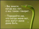 f0DWd0iK.webp
