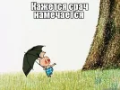 5h7vkx.webp