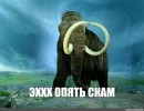 e543ad3651cee174fb7f525aa0d71afe.webp