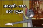 8MOPMAcK.webp
