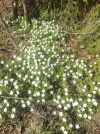 IMG-20230425-WA0004.webp