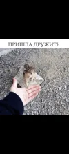 Screenshot_20230426-194757.webp