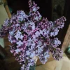 IMG20230501185423.webp