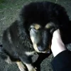 IMG20230505233600.webp