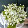 IMG20230509102623.webp