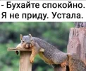 vIjAunsM (1).webp