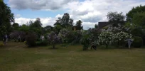 IMG-20230529-WA0038.webp