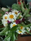 IMG20230603131238.webp