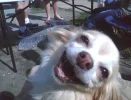 Screenshot_20230611_222610.webp