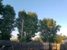 IMG_20230624_203652.webp