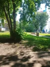 IMG_20230628_092734.webp