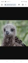Screenshot_20230703-063728.webp
