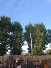 IMG_20230708_195104.webp