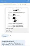 2023-07-17 13.53.41.webp