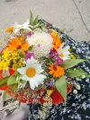 IMG20230729113131.webp