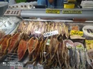 IMG_20230805_102557.webp