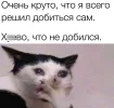 12121.webp