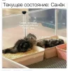 ааааааааааааааааа.webp