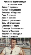 Vu2LOUen494.webp