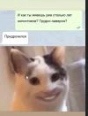 Скриншот-07-09-2023 02_04_54.webp