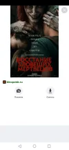 Screenshot_20230913_230757_ru.yandex.searchplugin.webp