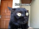 1642895339132753725.webp