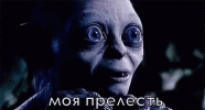 gollum-my-precious.gif