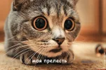 IMG_20230921_103813.webp