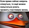 PUfEJch8Kuk.webp