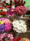 IMG_20230930_172055.webp