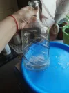 IMG-20230930-WA0015.webp