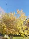 IMG_20231012_091324.webp