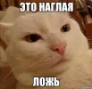 Без названия.webp