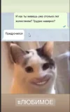 Скриншот 16-10-2023 120616.webp
