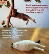 __TlA-UQkDI (1).webp