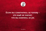 m_BaoD67Hcw.webp