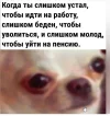 Скриншот 22-10-2023 124637.webp