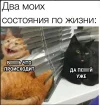 Скриншот 23-10-2023 124538.webp