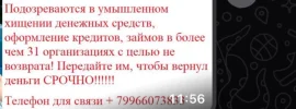 IMG_1224.webp