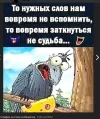Скриншот 24-10-2023 195951.webp