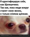 Скриншот 01-11-2023 105728.webp
