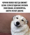 IMG_20230830_080917_347.webp