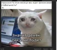 Скриншот 14-11-2023 100553.webp