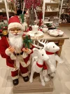 IMG_20231121_152541.webp