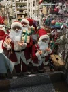 IMG_20231121_152622.webp