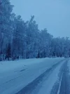 2023-11-30-08-53-59-396.webp
